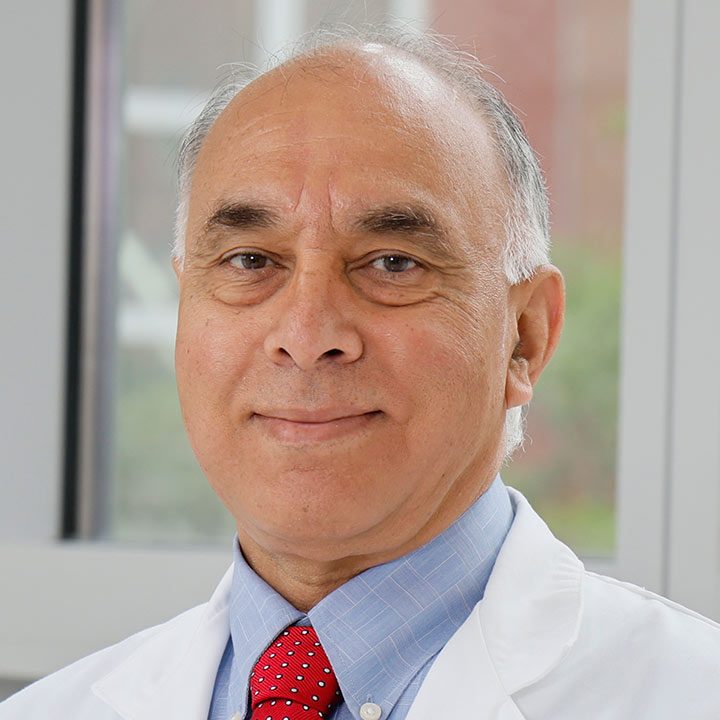 Mohammad Shokouh-Amiri